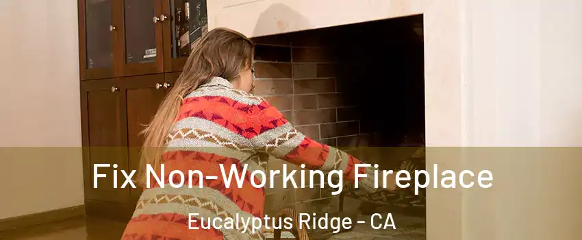Fix Non-Working Fireplace Eucalyptus Ridge - CA