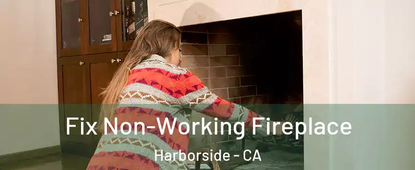 Fix Non-Working Fireplace Harborside - CA