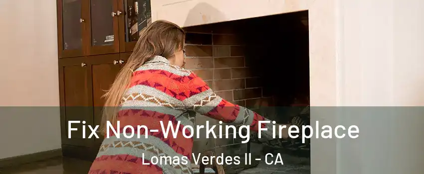 Fix Non-Working Fireplace Lomas Verdes II - CA