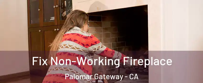 Fix Non-Working Fireplace Palomar Gateway - CA