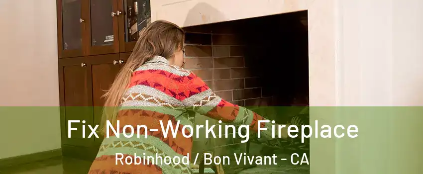 Fix Non-Working Fireplace Robinhood / Bon Vivant - CA