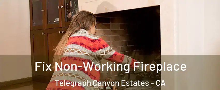 Fix Non-Working Fireplace Telegraph Canyon Estates - CA
