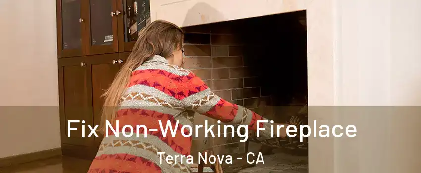 Fix Non-Working Fireplace Terra Nova - CA