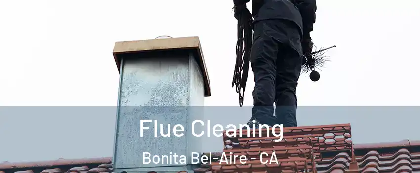Flue Cleaning Bonita Bel-Aire - CA