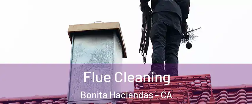 Flue Cleaning Bonita Haciendas - CA