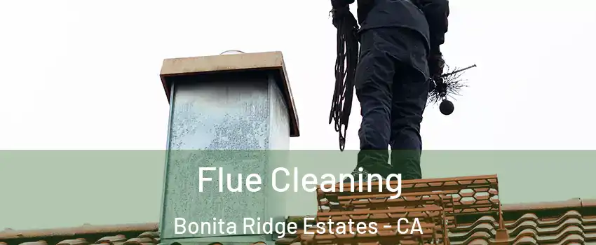 Flue Cleaning Bonita Ridge Estates - CA