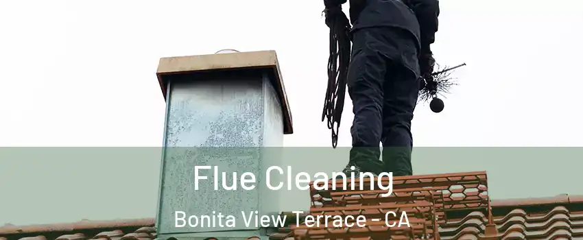Flue Cleaning Bonita View Terrace - CA