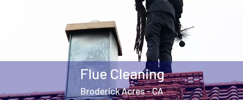 Flue Cleaning Broderick Acres - CA