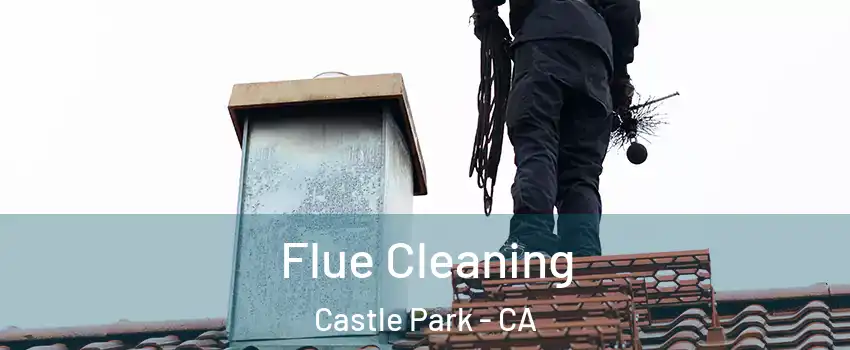 Flue Cleaning Castle Park - CA