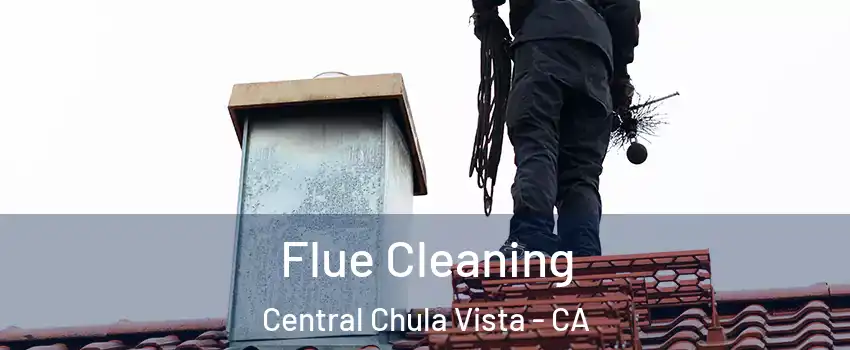 Flue Cleaning Central Chula Vista - CA