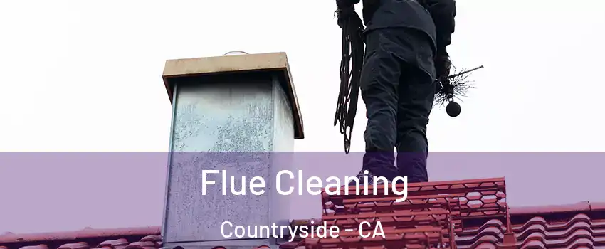Flue Cleaning Countryside - CA