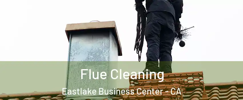 Flue Cleaning Eastlake Business Center - CA
