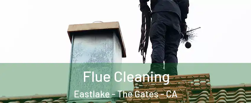 Flue Cleaning Eastlake - The Gates - CA