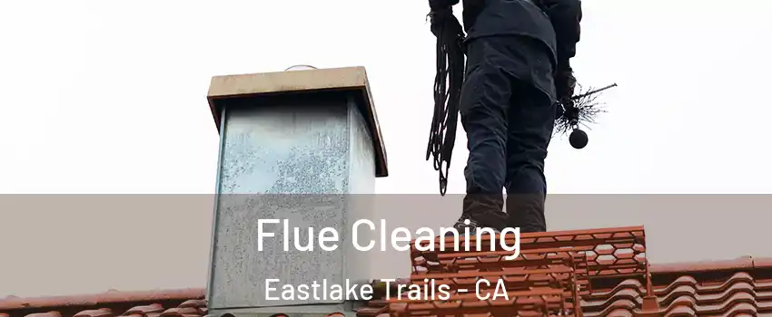 Flue Cleaning Eastlake Trails - CA