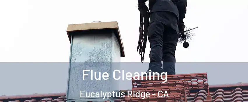 Flue Cleaning Eucalyptus Ridge - CA