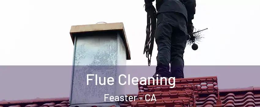 Flue Cleaning Feaster - CA