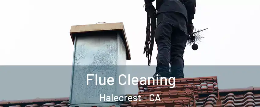 Flue Cleaning Halecrest - CA