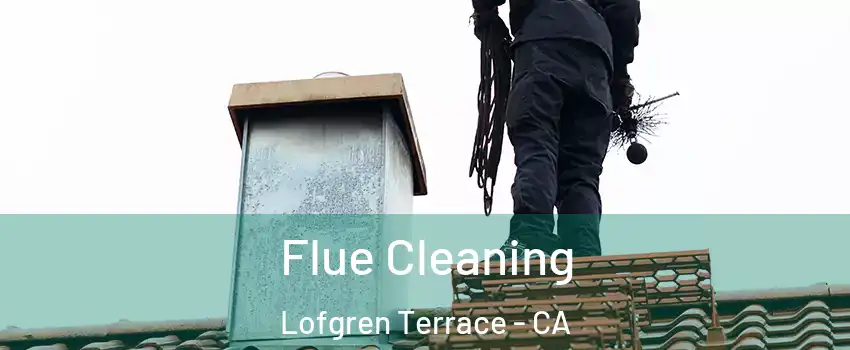 Flue Cleaning Lofgren Terrace - CA