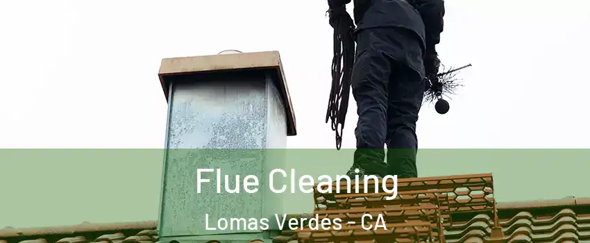 Flue Cleaning Lomas Verdes - CA