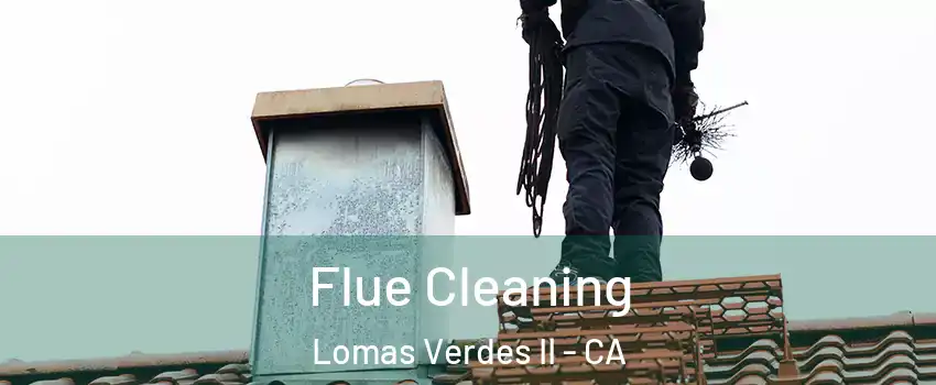Flue Cleaning Lomas Verdes II - CA
