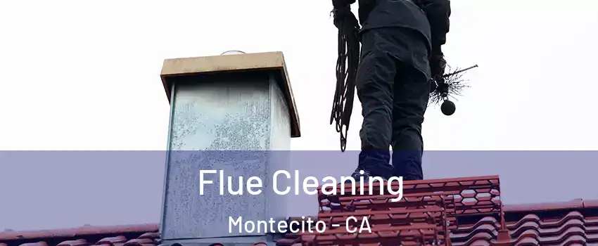 Flue Cleaning Montecito - CA
