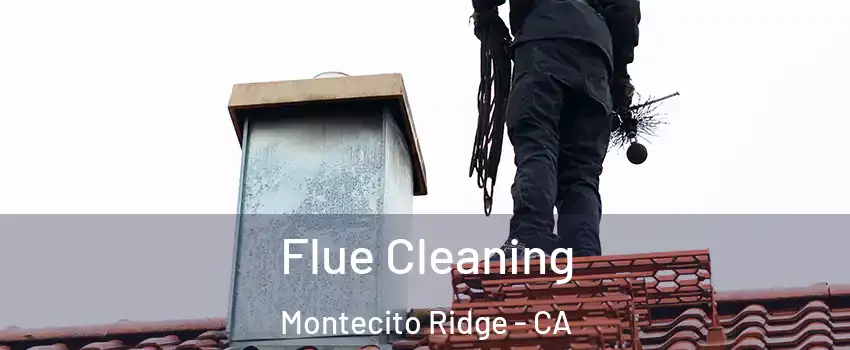 Flue Cleaning Montecito Ridge - CA