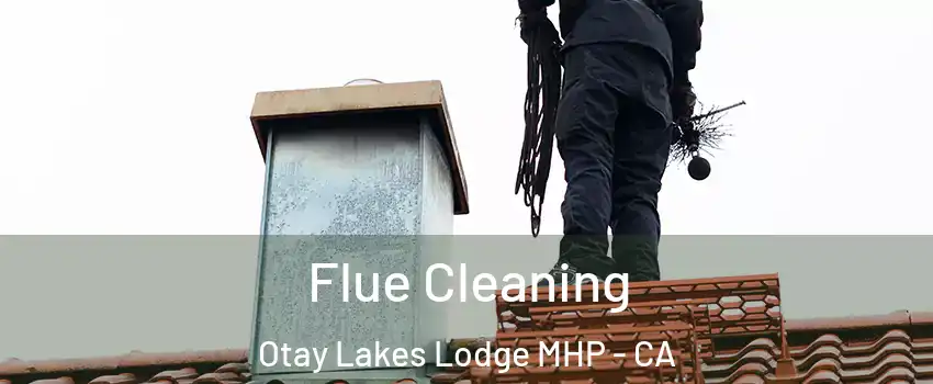 Flue Cleaning Otay Lakes Lodge MHP - CA