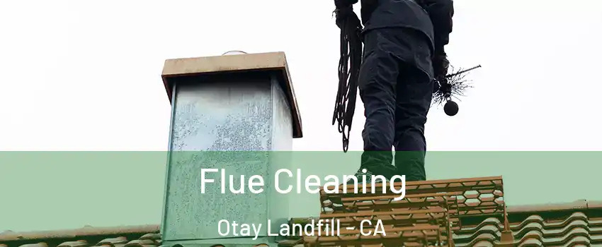 Flue Cleaning Otay Landfill - CA