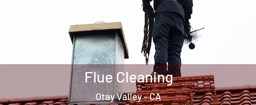 Flue Cleaning Otay Valley - CA