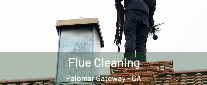 Flue Cleaning Palomar Gateway - CA