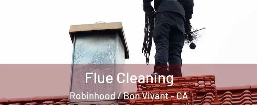 Flue Cleaning Robinhood / Bon Vivant - CA
