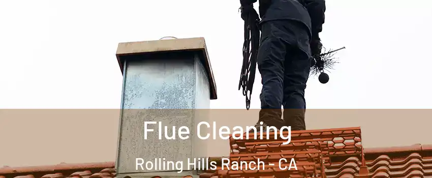 Flue Cleaning Rolling Hills Ranch - CA