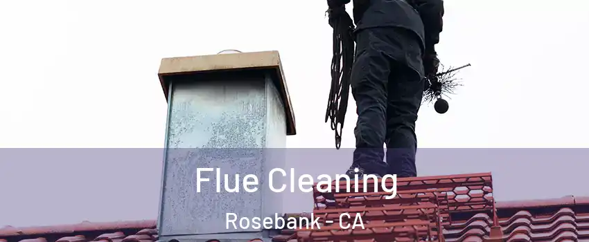 Flue Cleaning Rosebank - CA