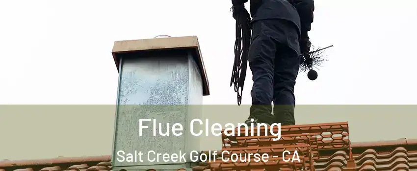Flue Cleaning Salt Creek Golf Course - CA