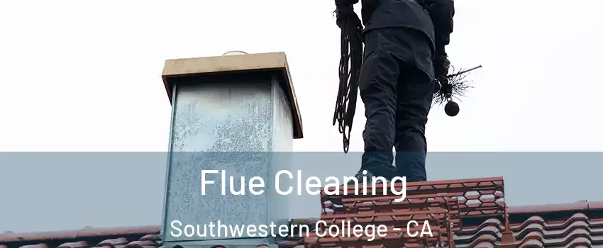 Flue Cleaning Southwestern College - CA