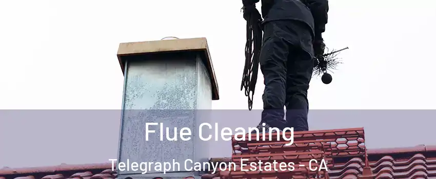 Flue Cleaning Telegraph Canyon Estates - CA