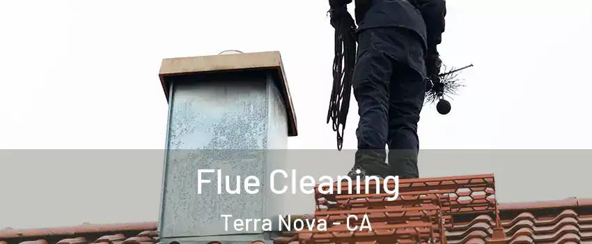 Flue Cleaning Terra Nova - CA