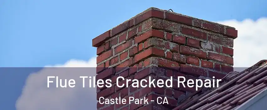 Flue Tiles Cracked Repair Castle Park - CA