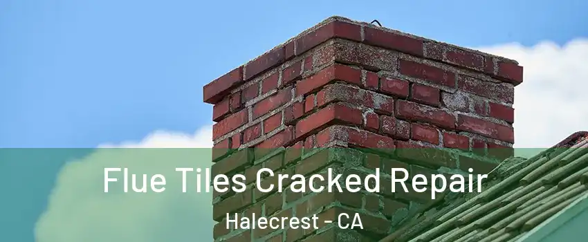 Flue Tiles Cracked Repair Halecrest - CA