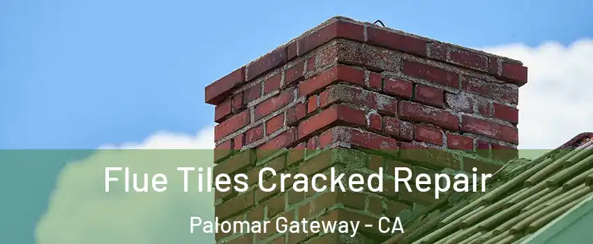 Flue Tiles Cracked Repair Palomar Gateway - CA
