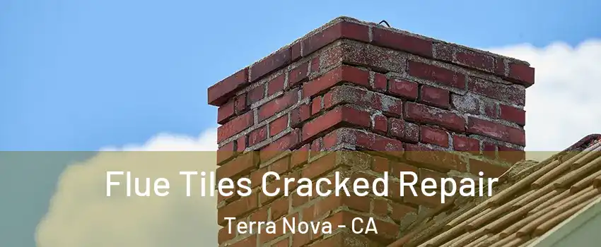 Flue Tiles Cracked Repair Terra Nova - CA