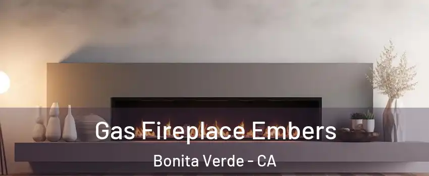 Gas Fireplace Embers Bonita Verde - CA