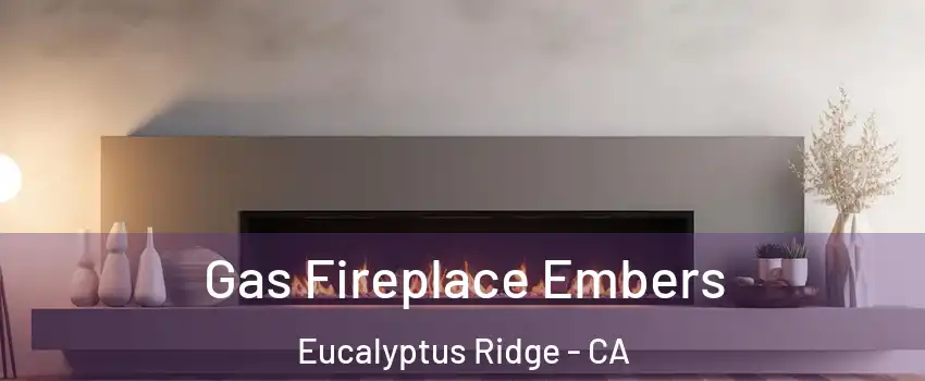 Gas Fireplace Embers Eucalyptus Ridge - CA