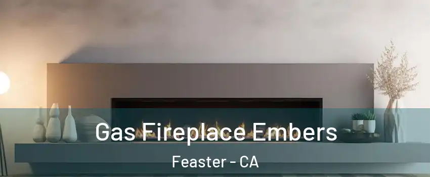 Gas Fireplace Embers Feaster - CA