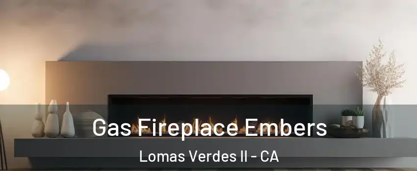 Gas Fireplace Embers Lomas Verdes II - CA