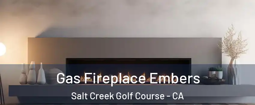 Gas Fireplace Embers Salt Creek Golf Course - CA