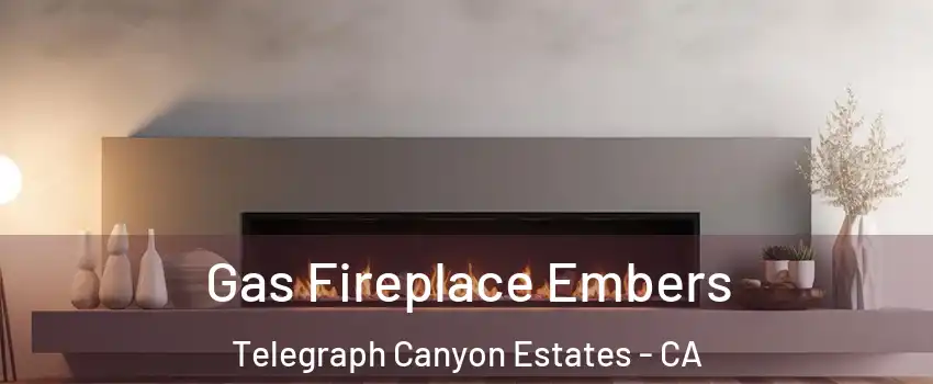 Gas Fireplace Embers Telegraph Canyon Estates - CA
