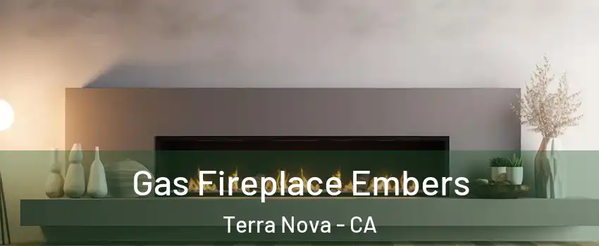 Gas Fireplace Embers Terra Nova - CA