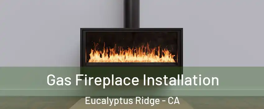 Gas Fireplace Installation Eucalyptus Ridge - CA