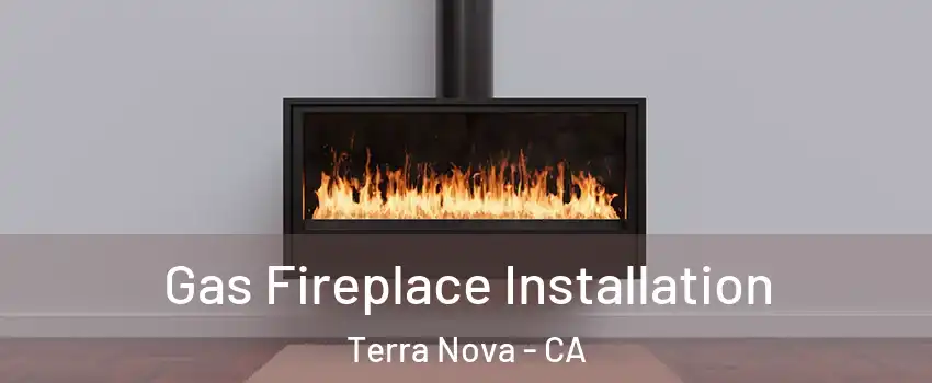 Gas Fireplace Installation Terra Nova - CA